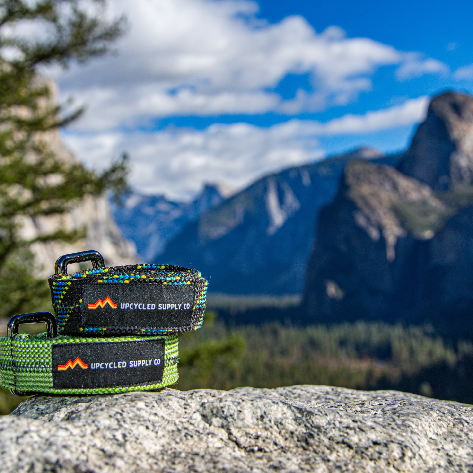 Green and black dog collar with 'Upcycled Supply Co.' branding on a rock with mountain and tree background