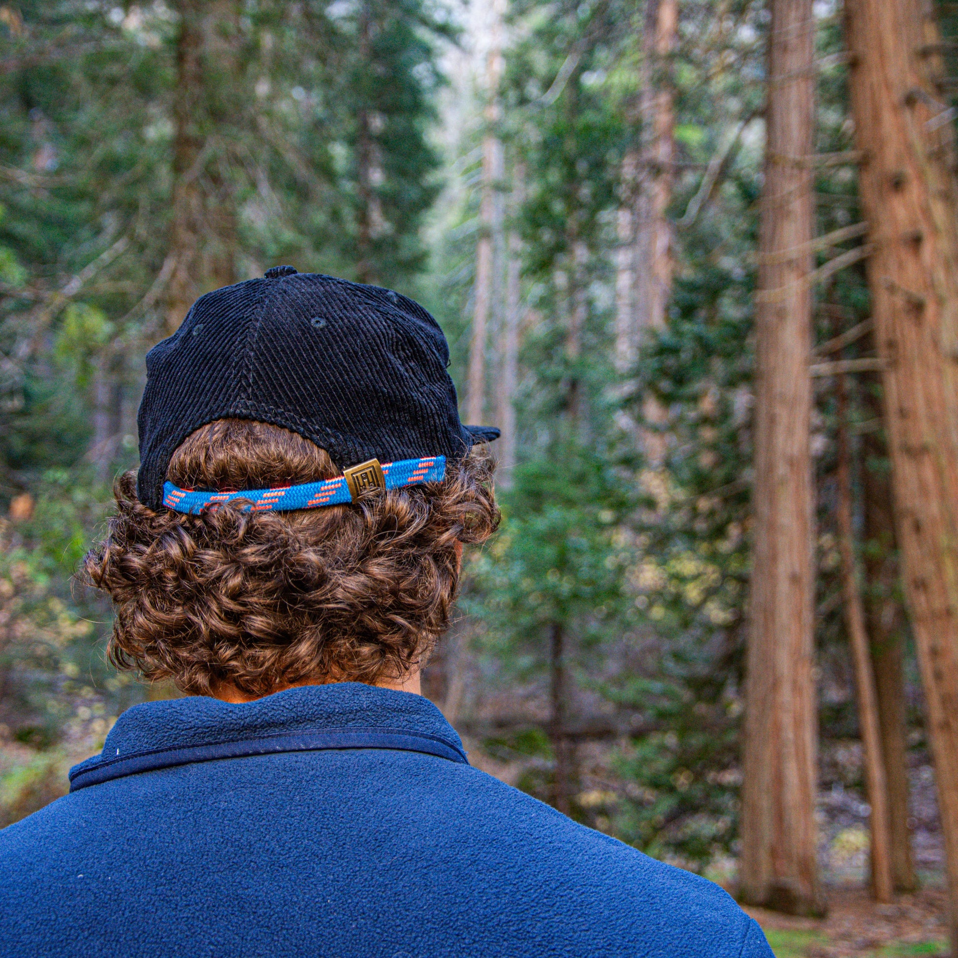Person wearing a blue jacket and black cap walking through a forest